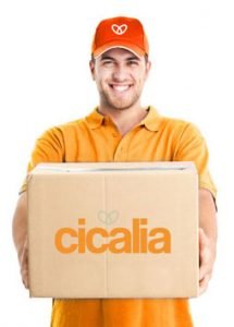 cicalia