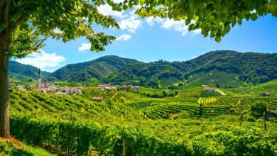 Colline del Prosecco patrimonio UNESCO da cui nasce il progetto cosmetico sostenibile RigeneraDermo