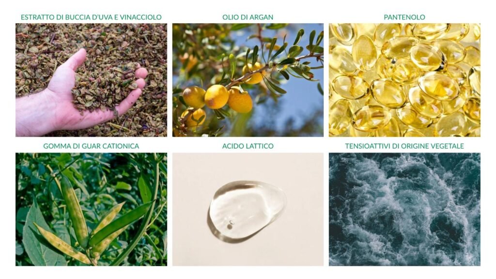 ingredienti naturali cosmetica RigeneraDermo con buccia d’uva e vinaccioli ricchi di antiossidanti